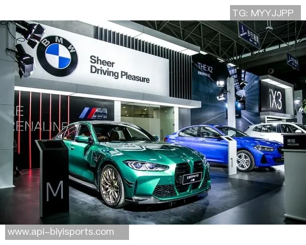 探索足球鞋传奇级别的魅力与技术演变之路